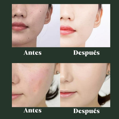 MOISTURE CUSHION™️ | BASE MAQUILLAJE + BROCHA DE REGALO - VirtuCompra